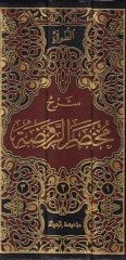 Şerhu Muhtasarur-Ravda  - شرح مختصر الروضة