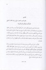 الشهيد المقبول الرحلة إلى مصر والشام وإسطنبول