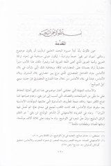 ديوان ابن باقي الأندلسي - ديوان ابن باقي الأندلسي