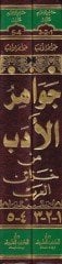 Cevahirül-Edeb from Hazainül-Arab - جواهر الأدب من العرب