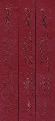 Şerhül-Camiis-Sahih Müsnedül-İmamir-Rebi b. Habib b. Ömer El-Ferahidi El-Ezdi - شرح الجامع الصحيح مسند الإمام الربيع بن حبيب بن عمر الفراهيدي الأزدي
