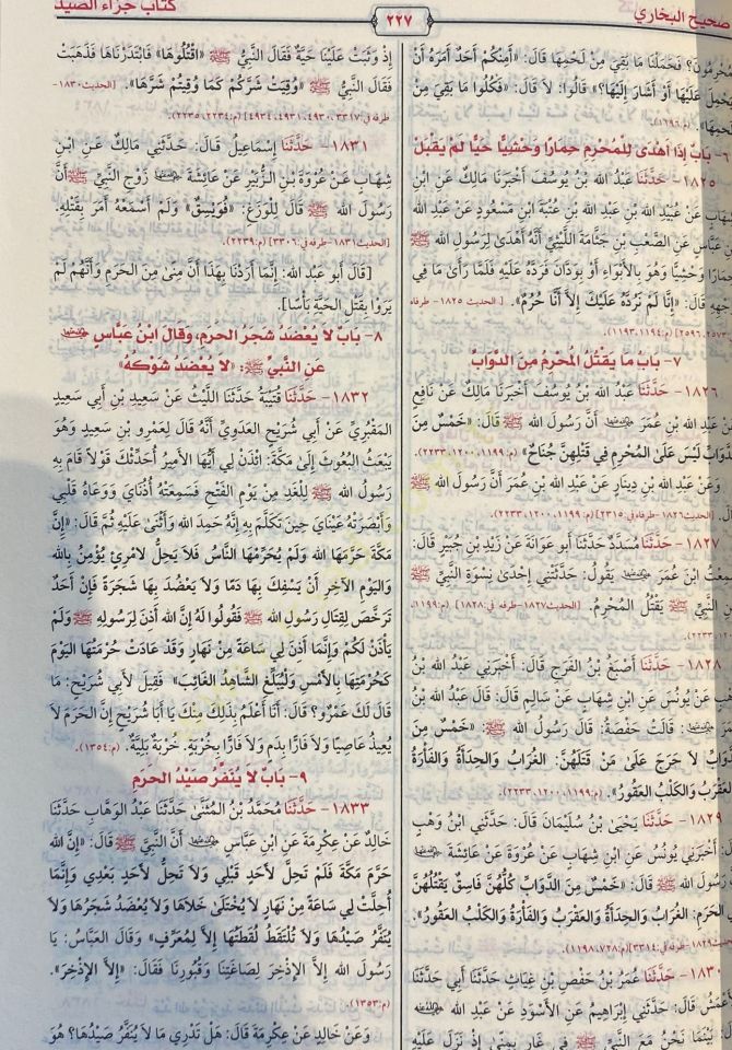 Sahih El Buhari - صحيح البخاري