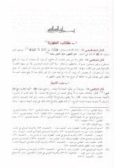 Muhtasaru Kitabil-Ümm liş-Şafii  - مختصر كتاب الأم لشافعي