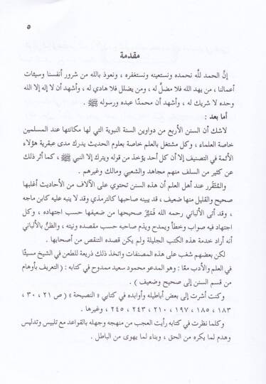 İhkamül-Hadid ala Mahmud Said  - إحكام الحديد على محمود سعيد - 2