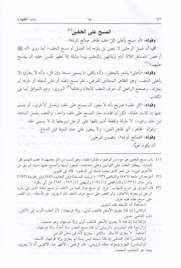 İhlasün-Navi fi İrşadil-Gavi ila Mesalikil-Havi - إخلاص الناوي في إرشاد الغاوي الى مسالك الحاوي - 3