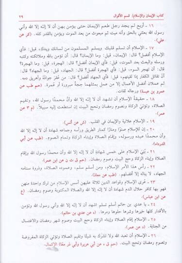 Kenzül-Ummal fi Sünenil-Akval vel-Efal - كنز العمال في سنن الأقوال والأفعال - 3