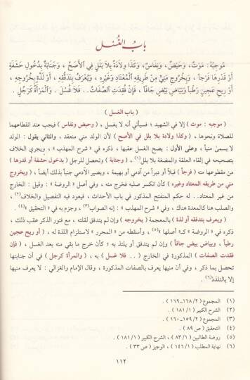 Kenzür-Ragibin Şerhu Minhacit-Talibin - كنز الراغبين شرح منهاج الطالبين - 3