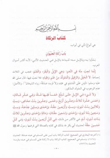 Kenzür-Ragibin Şerhu Minhacit-Talibin - كنز الراغبين شرح منهاج الطالبين - 3
