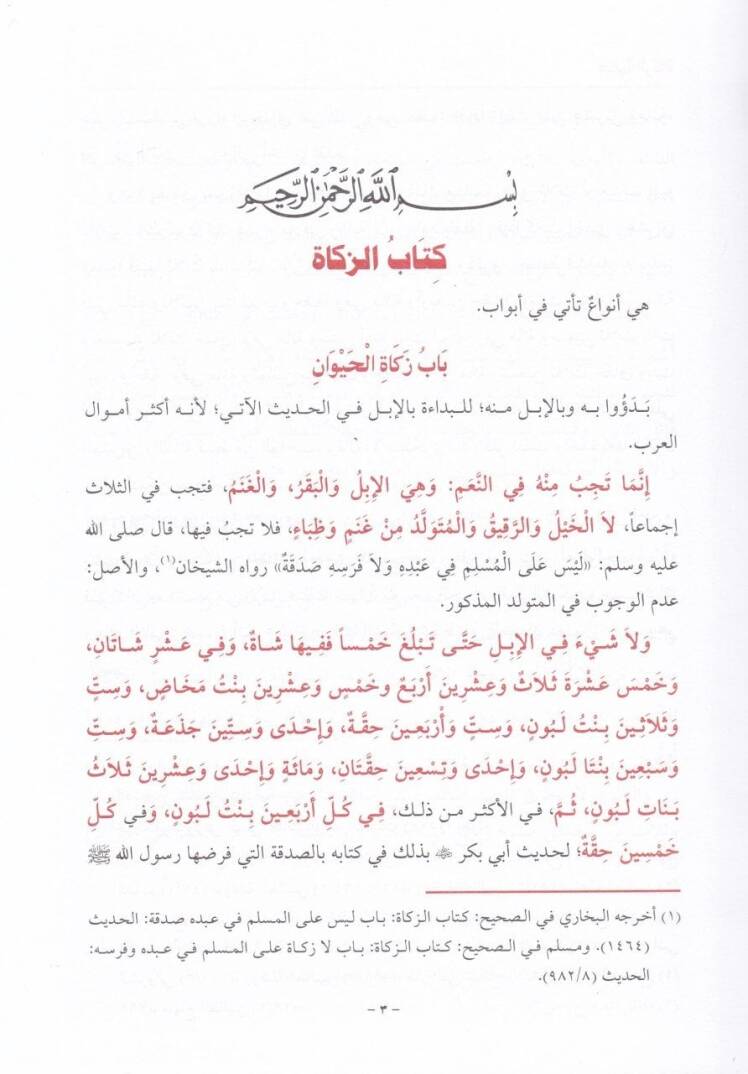 Kenzür-Ragibin Şerhu Minhacit-Talibin - كنز الراغبين شرح منهاج الطالبين - 3