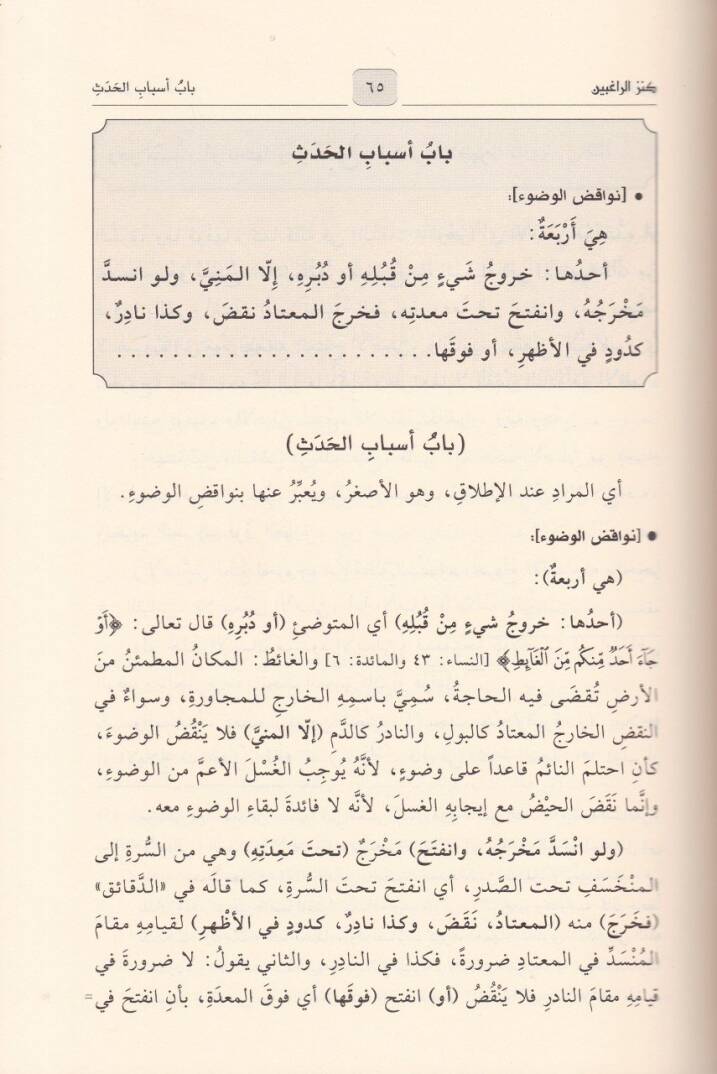 Kenzür-Ragibin Şerhu Minhacit-Talibin  - كنز الراغبين شرح منهاج الطالبين في الفقه الشافعي - 3