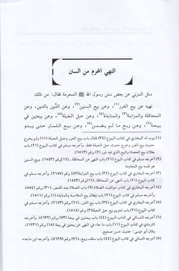 Kitabül-Emr ven-Nehy ala Manaş-Şafii - كتاب الأمر والنهي على معنى الشافعي - 2