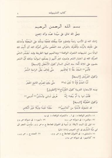 Kitabüt-Teşbihat   - كتاب التشبيهات - 2