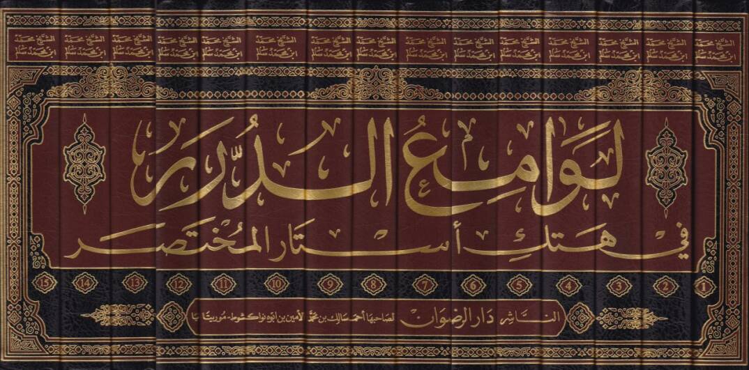 Levamiüd-Dürer fi Hetkil-Estaril-Muhtasar - لوامع الدرر في هتك أستار المختصر شرح مختصر خليل - 2