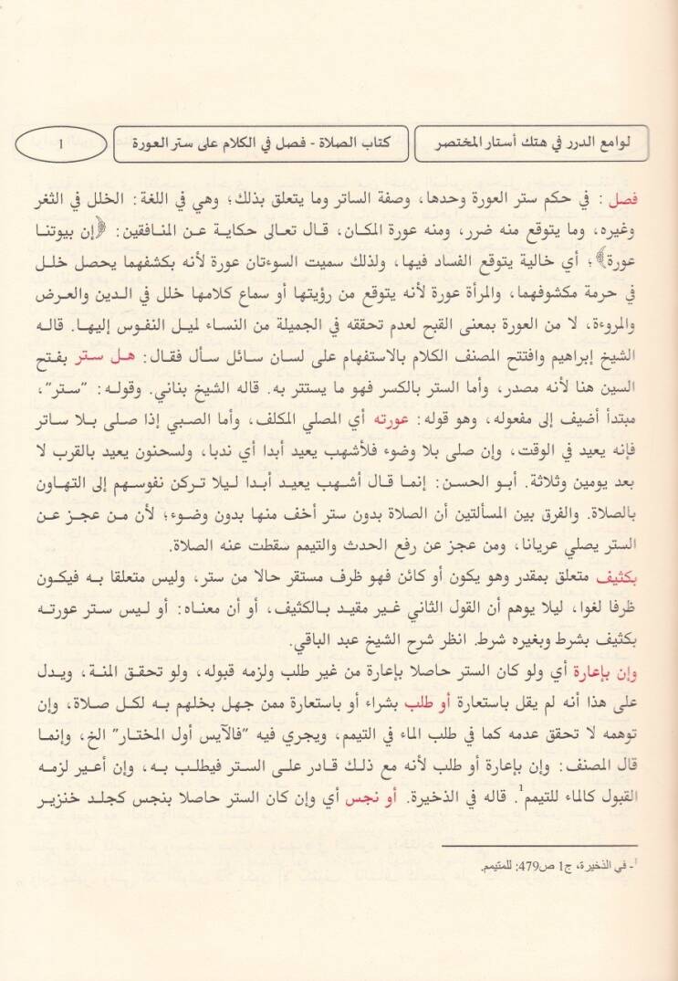 Levamiüd-Dürer fi Hetkil-Estaril-Muhtasar - لوامع الدرر في هتك أستار المختصر شرح مختصر خليل - 3