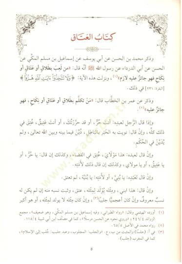 El-Muhtasarul-Kafi li Kutubi Ebi Abdillah Muhammed b. Hasan eş-Şeybani el-Kufi - المختصر الكافي لكتب أبي عبد الله محمد بن الحسن الشيباني الكوفي - 3
