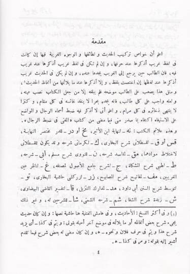 Mecmeu Biharul-Envar fi Garaibit-Tenzil ve Letaifil-Ahbar  - مجمع بحار الأنوار في غرائب التنزيل ولطائف الأخبار - 3
