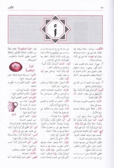 Mucemün-Nefaisil-Medresi  - معجم النفائس المدرسي - 2