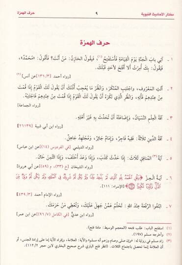 Muhtarül-Ehadisin-Nebeviyye vel-Hikemül-Muhammediyye - مختار الأحاديث النبوية والحكم المحمدية - 2