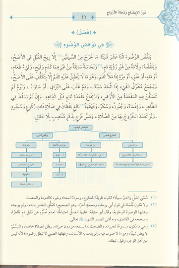 Nurü'l - İzah ve Necatü'l - Ervah fi'l - Fıkhi'l - Hanefi - نور الإيضاح ونجاة الأرواح - 6