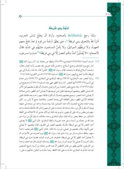 Nurul Yakin Fi Sireti Seyyidil Mürselin - نور اليقين في سيرة سيد المرسلين (Geniş Tahkikli - Renkli) - 2