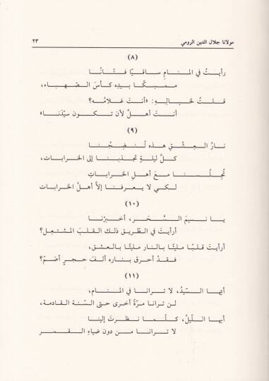 Rubaiyyatu Mevlana Celaleddin Er-Rumi  - رباعيات مولانا جلال الدين الرومي - 2