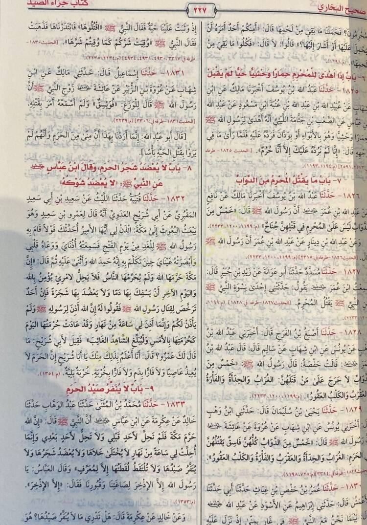 Sahih El Buhari - صحيح البخاري - 2