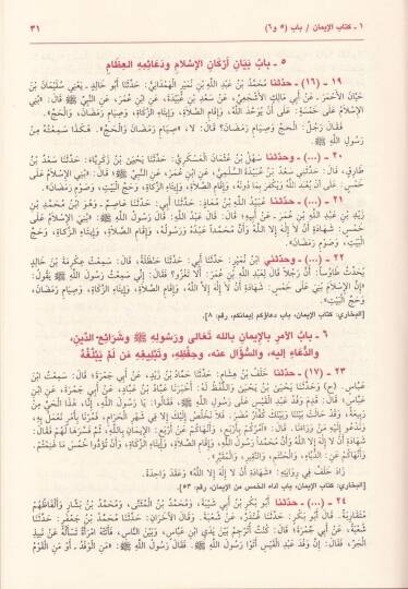 Sahihu Müslim  - صحيح مسلم طبعة مرقمة الكتب والأبواب والأحاديث حسب المعجم المفهرس لألفاظ الحديث النبوي - 2