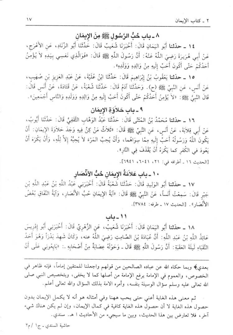 Sahihül-Buhari bi-Haşiyetis-Sindi  - صحيح البخاري بحاشية الإمام السندي - 3