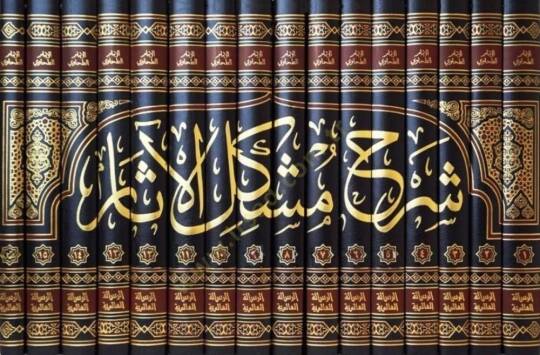 Şerhu Müşkilil-Asar  - شرح مشكل الآثار
