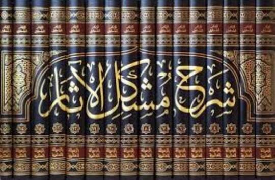 Şerhu Müşkilil-Asar - شرح مشكل الآثار - 2