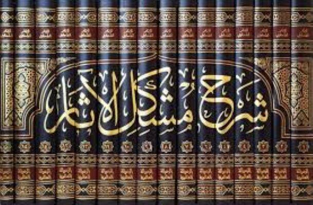 Şerhu Müşkilil-Asar - شرح مشكل الآثار - 2