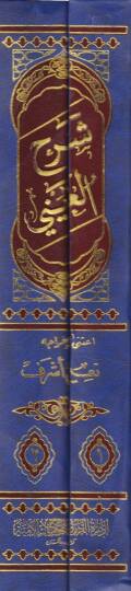 Şerhül-Ayni ala Kenzid-Dekaik Remzül-Hakaik - شرح العيني على كنز الدقائق المسمى رمز الحقائق - 2