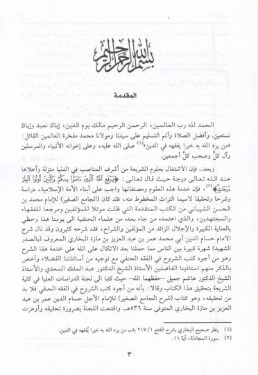 Şerhül-Camiis-Sagir ala Kitabi Camiis-Sagir - شرح الجامع الصغير على كتاب الجامع الصغير - 2