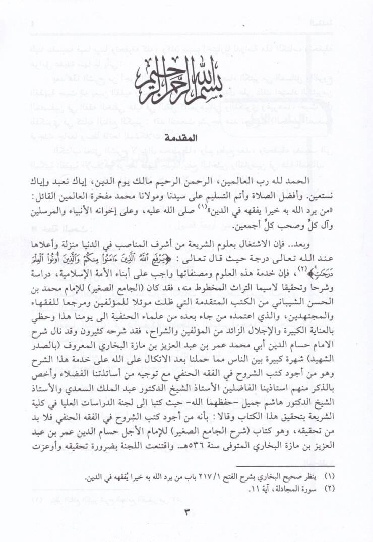 Şerhül-Camiis-Sagir ala Kitabi Camiis-Sagir - شرح الجامع الصغير على كتاب الجامع الصغير - 2