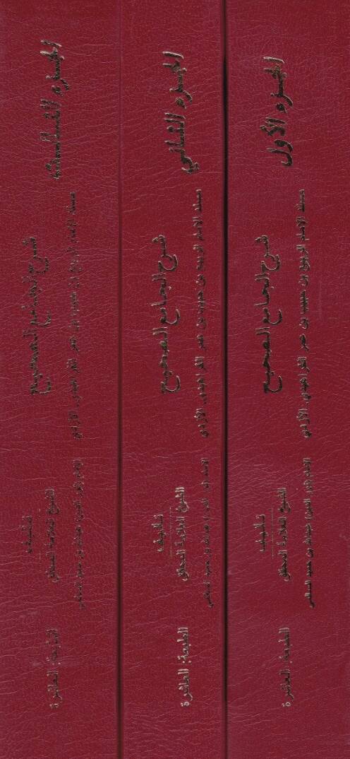 Şerhül-Camiis-Sahih Müsnedül-İmamir-Rebi b. Habib b. Ömer El-Ferahidi El-Ezdi - شرح الجامع الصحيح مسند الإمام الربيع بن حبيب بن عمر الفراهيدي الأزدي - 2
