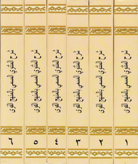 Şerhül-Mesnevi El-Menhecül-Kavi - شرح المثنوي المنهج القوي - 2
