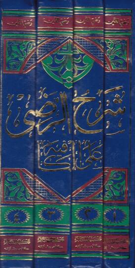 Şerhür-Radi alel-Kafiye  - شرح الرضي على الكافية - 2