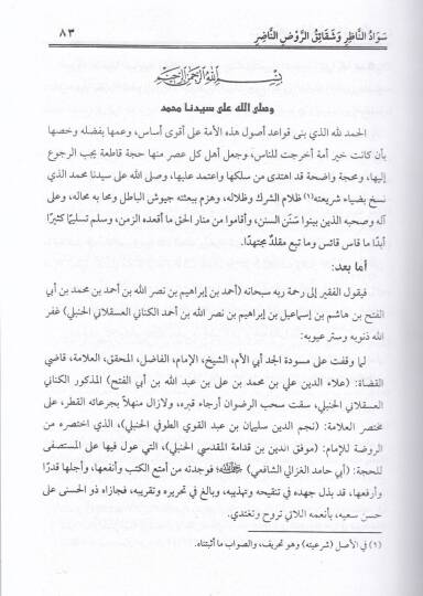 Sevadün-Nazır ve Şekaikur-Ravdin-Nadır - كتاب سواد الناظر وشقائق الروض الناضر - 2