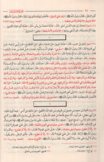Sahihül-İmam Müslim - صحيح الإمام مسلم وهو المسند الصحيح - 2
