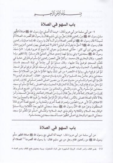 Tarhüt-Tesrib fi Şerhit-Yakrib ve İkmaluhu / Ebu Züra Veliyüddin Ahmed b. Abdürrahim İbnül-Iraki - طرح التثريب في شرح التقريب أكمله : ولده الحافظ ولي الدين أبو زرعة العراقي - 3