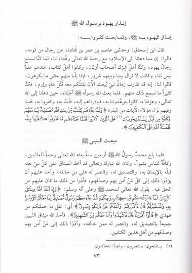 Tehzibus-Siretin-Nebevi li İbni Hişam - تهذيب السيرة النبوية لابن هشام - 2