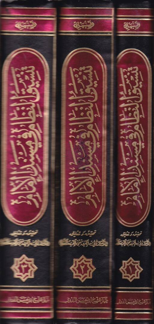 Tensikün-Nizam  fi Müsnedil-İmam - تنسيق النظام في مسند الإمام أبي حنيفة النعمان - 2