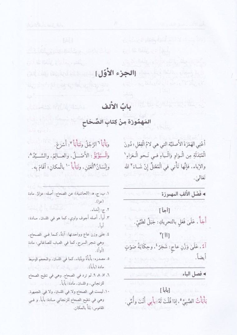 Tervihül-Ervah fi Tehzibis-Sıhah (Mucemu Mühezzebis-Sıhah) - ترويح الأرواح في تهذيب الصحاح - 2