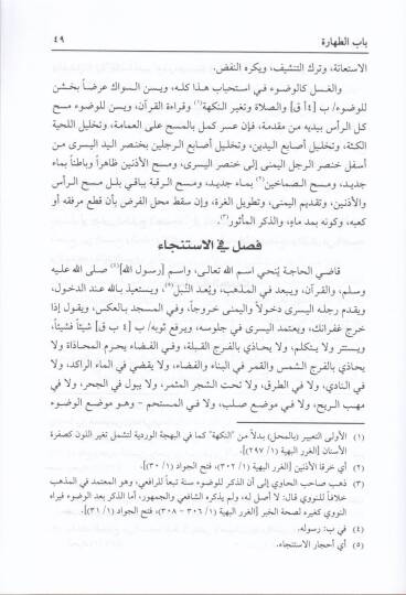 Teysirül-Feteva min Tahriril-Havi   - تيسير الفتاوي من تحرير الحاوي - 2