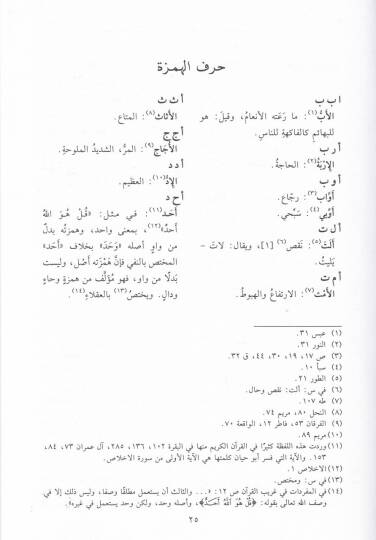 Tuhfetül-Erib bima fil-Kuran minel-Garib - تحفة الأريب بما في القرآن من الغريب - 2