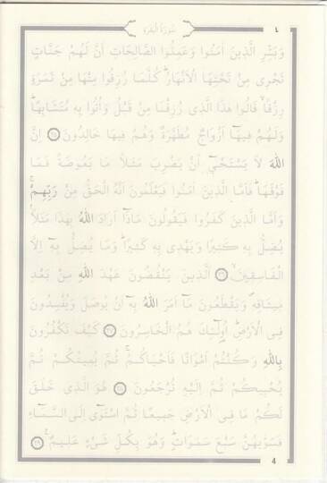 Turkuaz Gölgeli Kuran-ı Kerim - 5