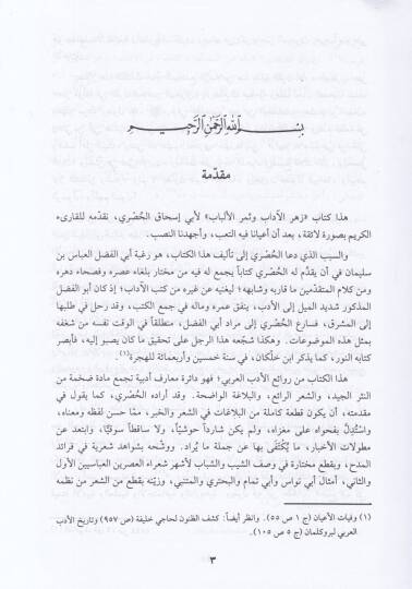 Zehrül-adab ve Semerül-Elbab - زهر الآداب وثمر الألباب - 3