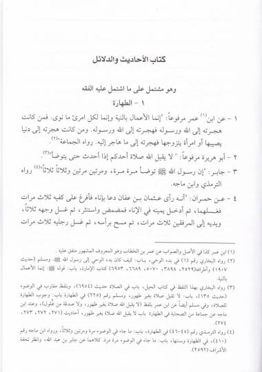 Zübedül-Ulum ve Sahibül-Mentuk vel-Mefhum  - زبدة العلوم وصاحب المنطوق والمفهوم - 3
